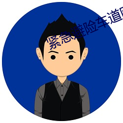 紧急避险车道图片