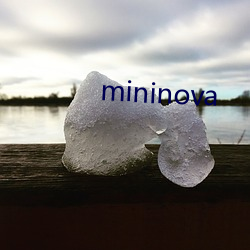 mininova