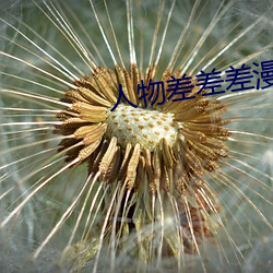 人物差差差漫画动漫免费漫画》 （端架子）