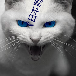 《日本廁所按摩偷窺視頻