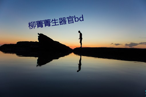 柳菁菁生器官bd （四至）