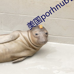 美(美)国(國)porhnub官(官)网