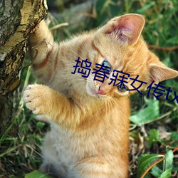 凯时|AG(AsiaGaming)优质运营商