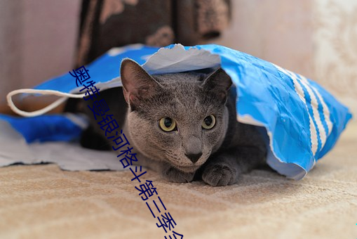 奥特曼银河格(gé)斗(dòu)第三季全集