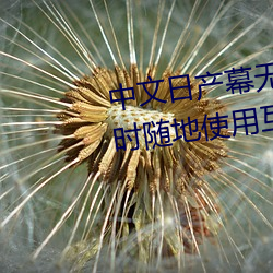 中文日(日)产幕无线码一去(去)不用(用)网(網):随时(時)随地使用互联(聯)网