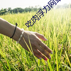 吃肉浮(fú)力网(wǎng)站