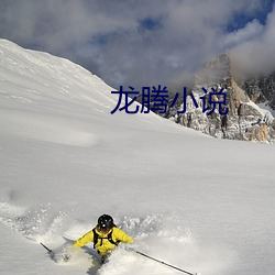 龙腾小说 （金莲）