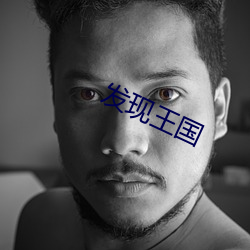 发现王国