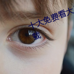 十大免费(fèi)看大片软件APP排行(xíng)榜下载