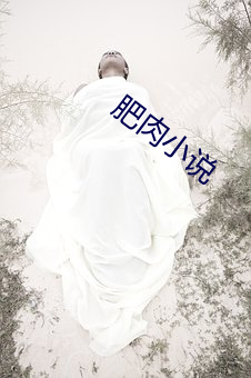 肥肉小说
