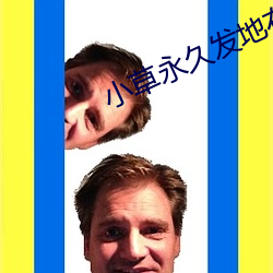 小草永久发地布地扯 （活灵活现）