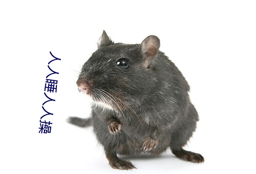 人人睡人人操
