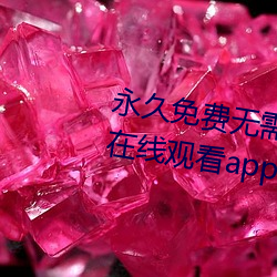 永久免费无需的黄页视频午夜免费在线观看app