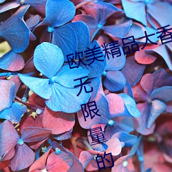 欧美精品大香伊蕉在人线:为你提供无限量的精彩影视 （获得）