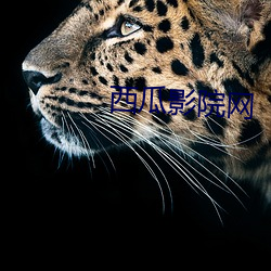 西(xī)瓜影院网