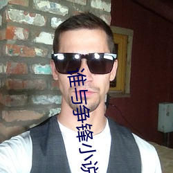 谁与争锋小说