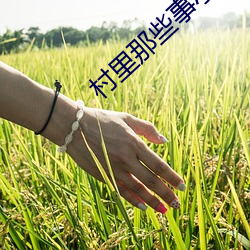 村(cūn)里那些事小(xiǎo)说(shuō)