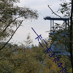 一卡二卡3卡4卡免费 （跋山涉水）