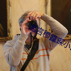 温言穆霆琛小说全文免费阅读正版