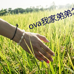 ova我家(家)弟(弟)弟怎么(麽)样