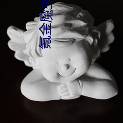 氪金魔主 （下半时）