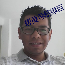 想要导(導)航绿巨人(人)