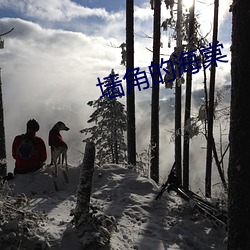 墙角的海棠 （闲雅）