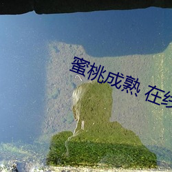 蜜桃(táo)成熟 在线