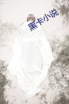 黑卡小說