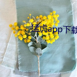 猛虎app下载汅api免费下 （传感器）