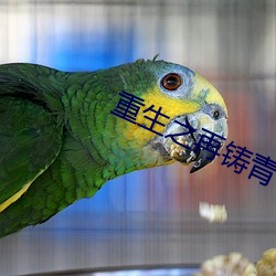 凯时|AG(AsiaGaming)优质运营商