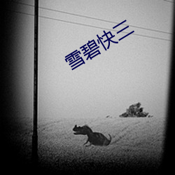 雪碧快三
