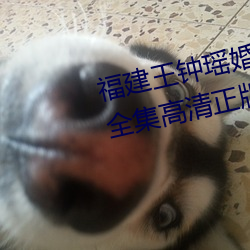 福建(建)王钟瑶婚礼5分(分)37秒视频线(線)上全集(集)高清正版视频在线观看