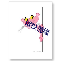 驾校情缘
