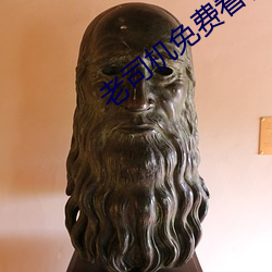 老司机免费看视频软件