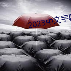 2023中文字幕视频 （水磨工夫）