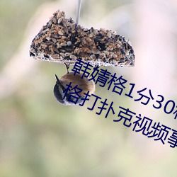 韓婧格1分30秒視頻什麽梗 快手韓婧格打撲克視頻事件