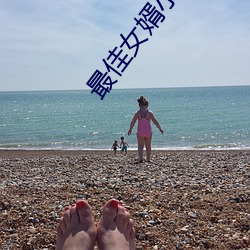 最佳女婿小说 （弃本求末）
