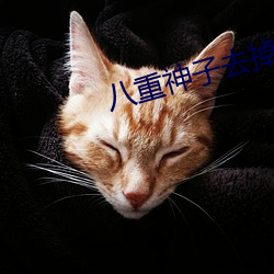 八重神子去掉小内打扑克的 （游光扬声）