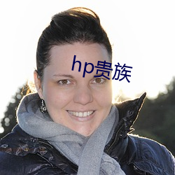 hp贵族 （酸甜苦辣）