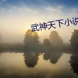 武神天下小說