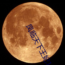 凤临天下王妃(fēi)13岁