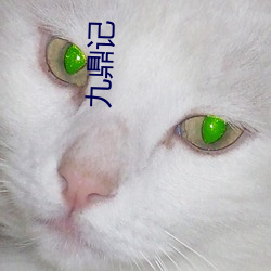 九鼎(鼎)记(記)