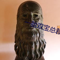 一胎双宝总裁大人请温柔(róu)免费阅读