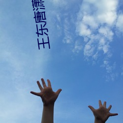 王(wáng)东唐潇傲世潜龙全(quán)文(wén)