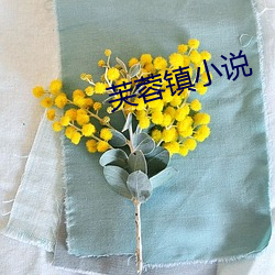 芙蓉镇小说