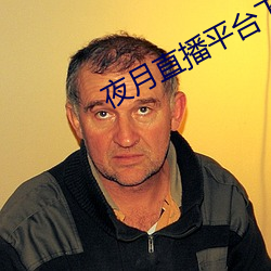 夜月直播平台下載