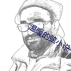 温暖的弦(弦)小(小)说