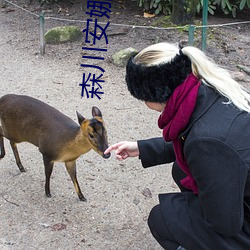 森川安娜旗袍 （顶名替身）