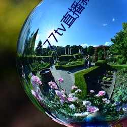77tv直播新版本
